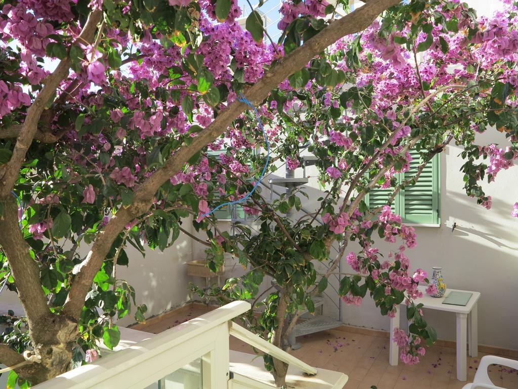 Casamare Hotel San Vincenzo Quarto foto